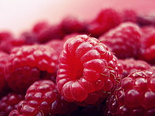 depth of field photography of raspberries