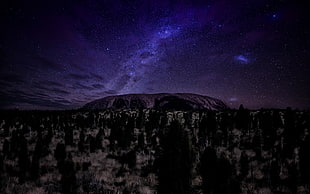 landscape HD wallpaper