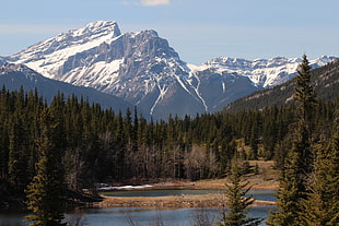 body of water surrounded by trees with snow cap mountain background, bow valley provincial park