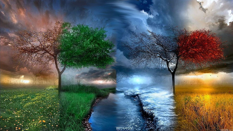 green and red abstract photo HD wallpaper
