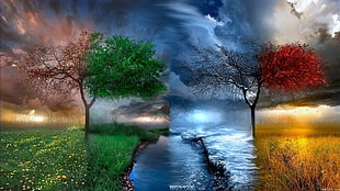 green and red abstract photo HD wallpaper