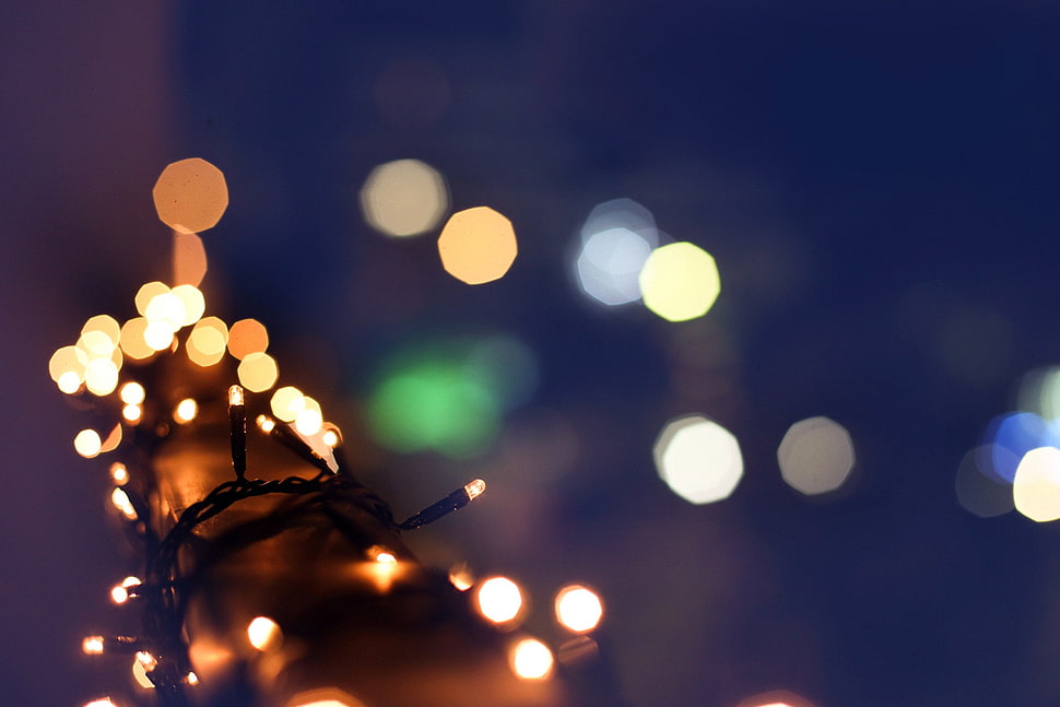 bokeh, macro, lights HD wallpaper