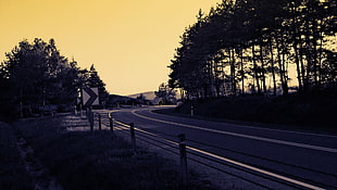 grey concrete road, road, landscape, trees, sunset