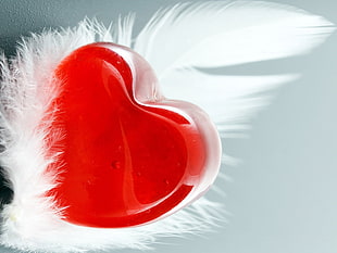 heart-shaped red glass white feather stud illustration HD wallpaper