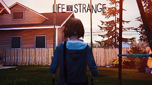 Life is Strange game digital wallpaper, Life Is Strange, Max Caulfield HD wallpaper