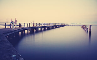 dock by the sea during golden hour