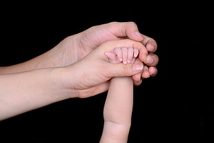 two adult hands holding baby's hand