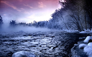 body of water, landscape, river, mist, nature HD wallpaper