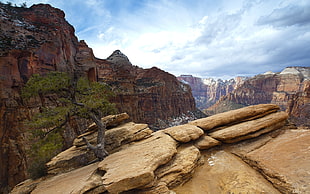 view of Grand Canyon from a highground at daytime