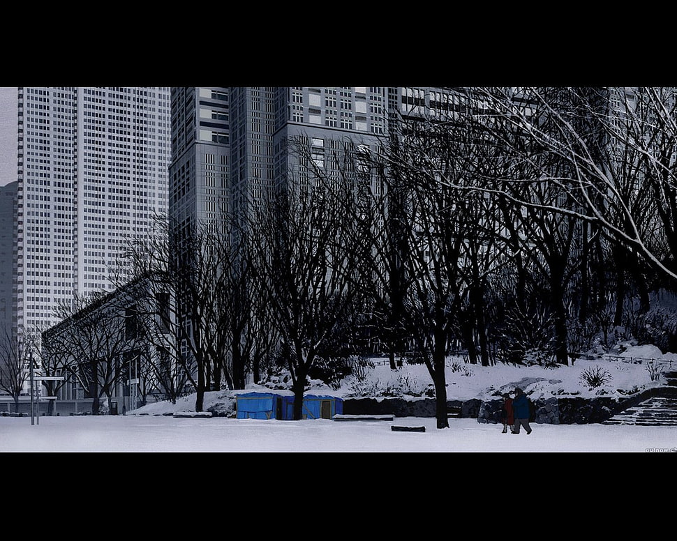 leaf less tree, winter, Tokyo Godfathers, anime HD wallpaper