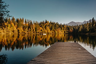 brown wooden dock, pier, forest, water, mountains