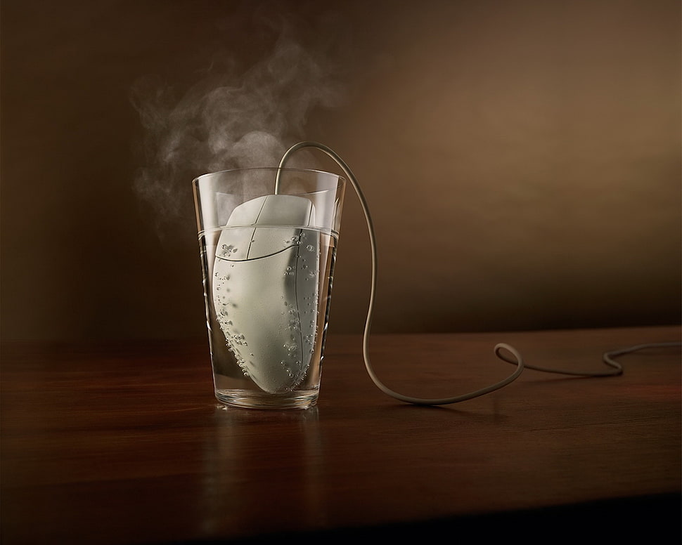 white corded computer mouse on clear glass cup HD wallpaper