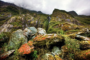 rock formation near mountain cliff with green trees