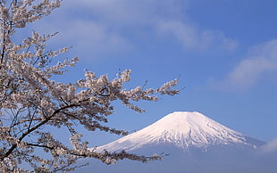 Mt. Fuji, Japan, nature, mountains