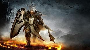 paladin holding shield and weapon character digital wallpaper, video games, warrior, Diablo, Diablo III