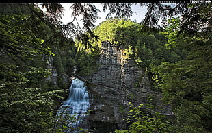 waterfalls, waterfall, water, nature, landscape HD wallpaper