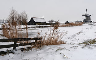 barn coated with snow