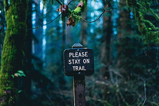 please stay on trail sign