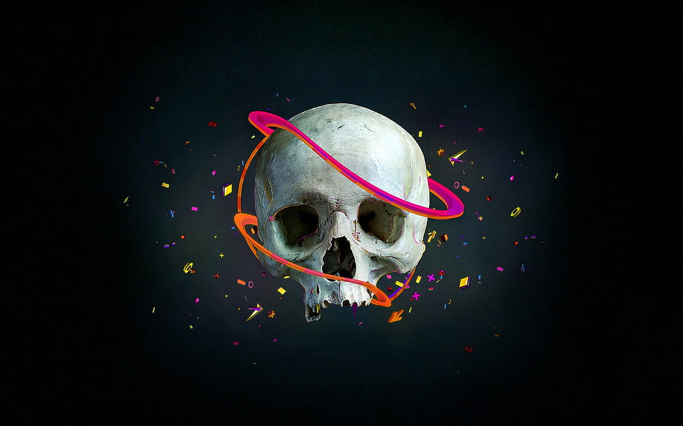 white skull illustration HD wallpaper