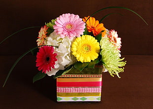 assorted color of daisies in a box