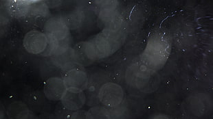 rain HD wallpaper