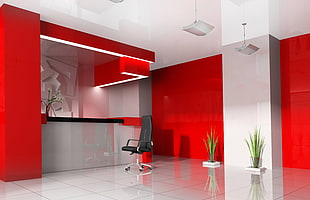 black leather office rolling chair near two green long narrow plants HD wallpaper