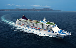 white and blue boat with trailer, cruise ship, ship, vehicle