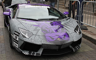 gray and purple Lamborghini Aventador