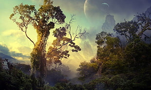 forest painting, jungle, nature, planet, artwork