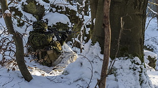 tree trunk, Canadian Army, soldier, snow, winter