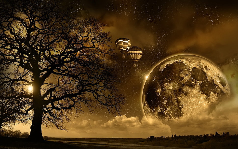brown and black floral ceramic plate, landscape, Moon, trees, hot air balloons HD wallpaper