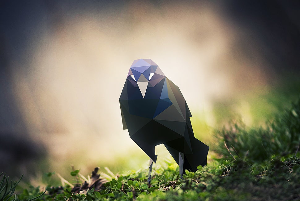 black crow selective focus photography, nature, animals, birds, low poly HD wallpaper