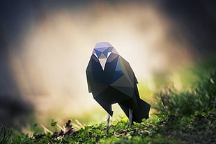 black crow selective focus photography, nature, animals, birds, low poly HD wallpaper