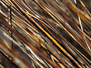 brown stick HD wallpaper