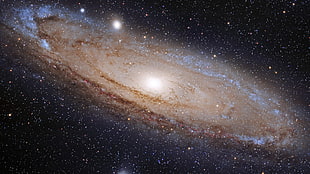 photo of brown and gray galaxy