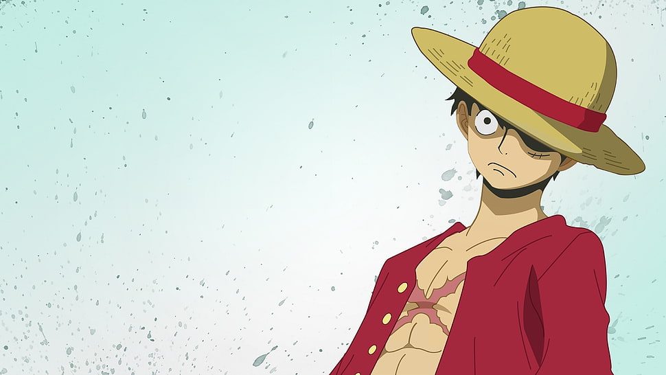 Monkey D. Luffy illustration HD wallpaper