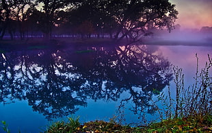 photo of body of water during day time HD wallpaper