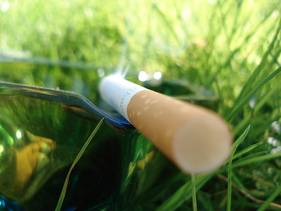 cigarette stick, cigarettes, grass, macro HD wallpaper