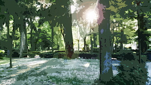 trees and sunrise painting, sun rays, park, landscape, trees