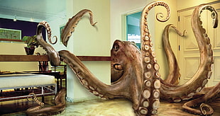 octopus 3D art, octopus, animals, render, digital art