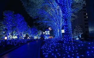blue LED lights, blue, lights, night, cityscape HD wallpaper