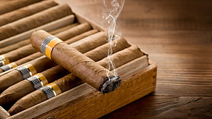 brown and gray wooden table decor, cigars, wood, smoking, smoke HD wallpaper