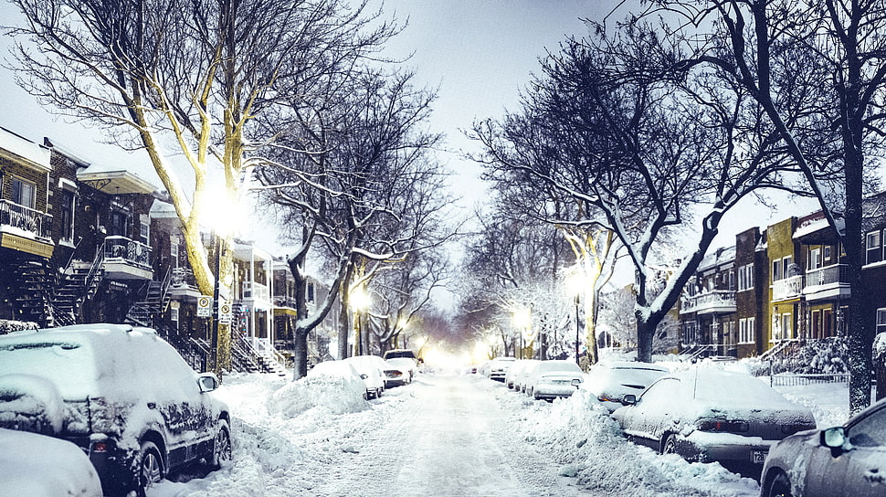 snow covered road and cars on street during daytime HD wallpaper