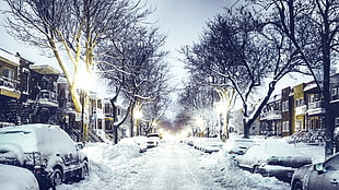 snow covered road and cars on street during daytime