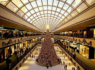 Christmas tree on the middle of the mall HD wallpaper