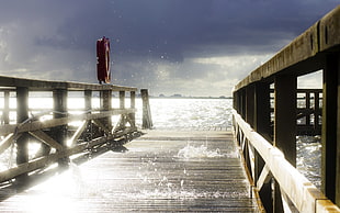 brown wooden boardwalk on body of water during daytime