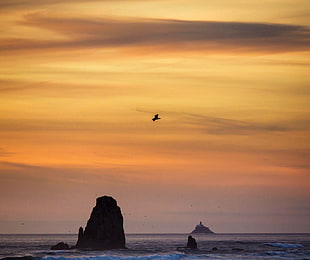 waving sea with rock formation during sunset, seagull