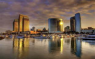 city of high-rise building near the body of water in golden hour photo