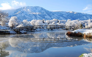 panoramic photography of wooden bride during winter season