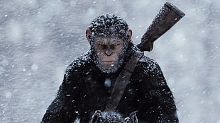 monkey with brown rifle on snow field